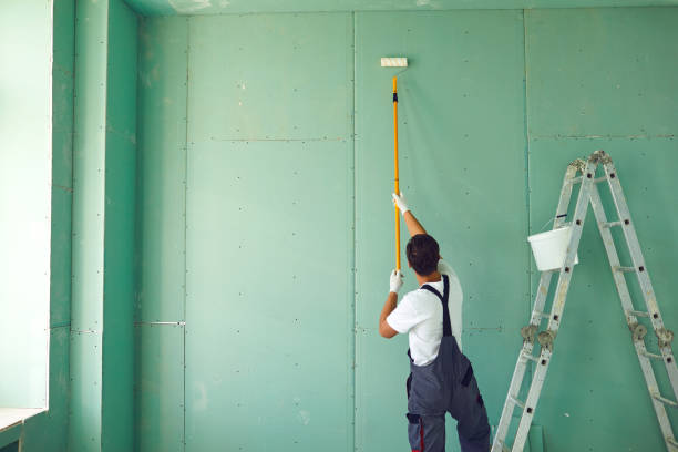 Best Water Damage & Mold Remediation  in Marion, AL
