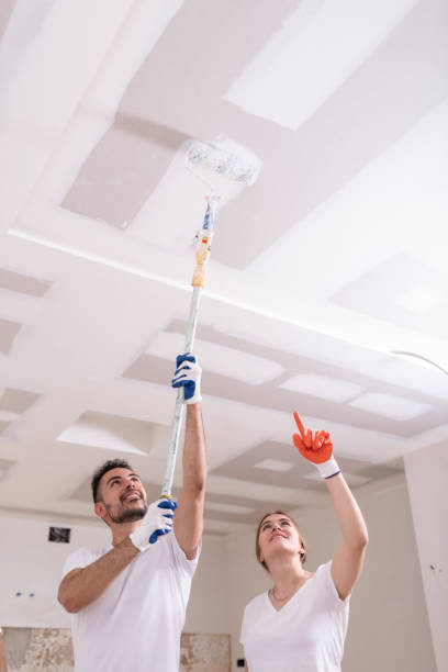 Best Mold Prevention Services  in Marion, AL