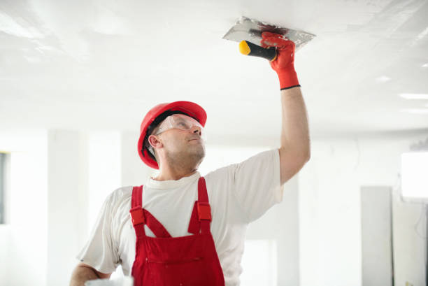Best Mold Removal for HVAC Installations  in Marion, AL