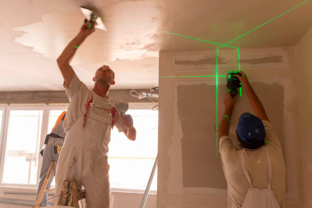 Best Emergency Mold Remediation  in Marion, AL