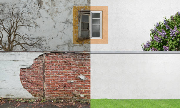 Best Real Estate Mold Inspection  in Marion, AL
