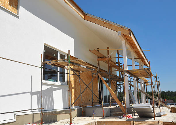 Reliable Marion, AL Mold Removal Solutions