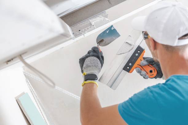 Best Biohazard Mold Removal  in Marion, AL